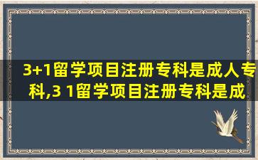 3+1留学项目注册专科是成人专科,3 1留学项目注册专科是成人专科